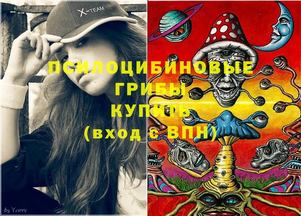 стаф Абинск