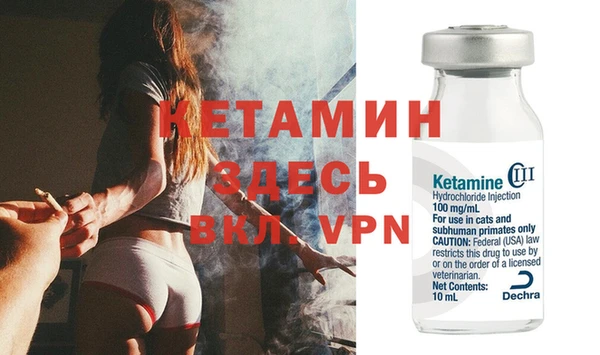 стаф Абинск