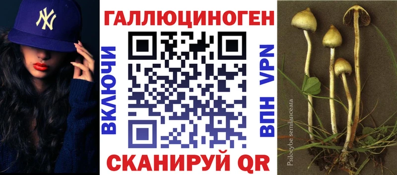 Псилоцибиновые грибы мицелий  гидра рабочий сайт  Зеленодольск  наркота 